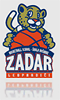 Camp logo