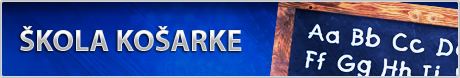 Škola košaarke